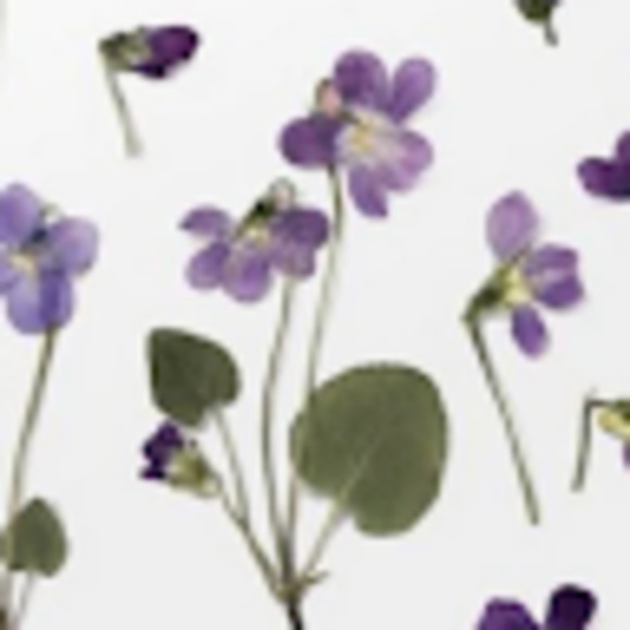 Meet your Posher, Naomi - Picture 1 of 1